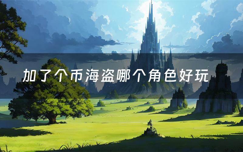 加了个币海盗哪个角色好玩