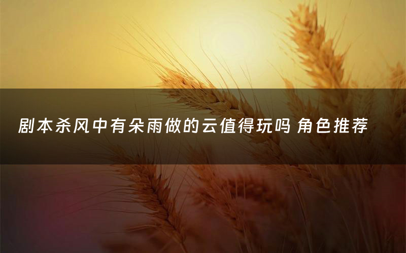 剧本杀风中有朵雨做的云值得玩吗 角色推荐