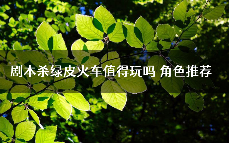 剧本杀绿皮火车值得玩吗 角色推荐