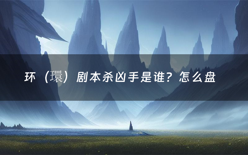 环（環）剧本杀凶手是谁？怎么盘