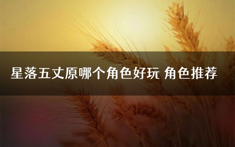 星落五丈原哪个角色好玩 角色推荐
