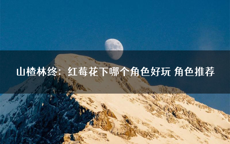 山楂林终:红莓花下哪个角色好玩 角色推荐