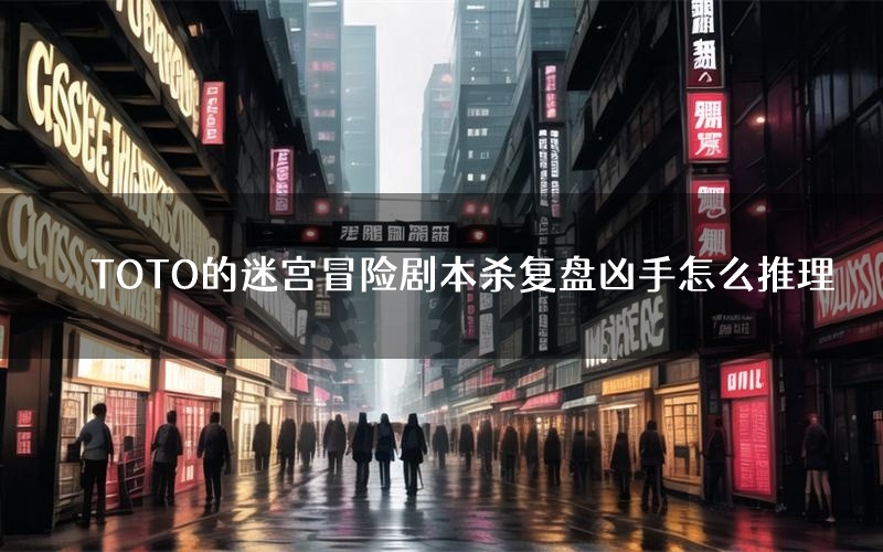 TOTO的迷宫冒险剧本杀复盘凶手怎么推理