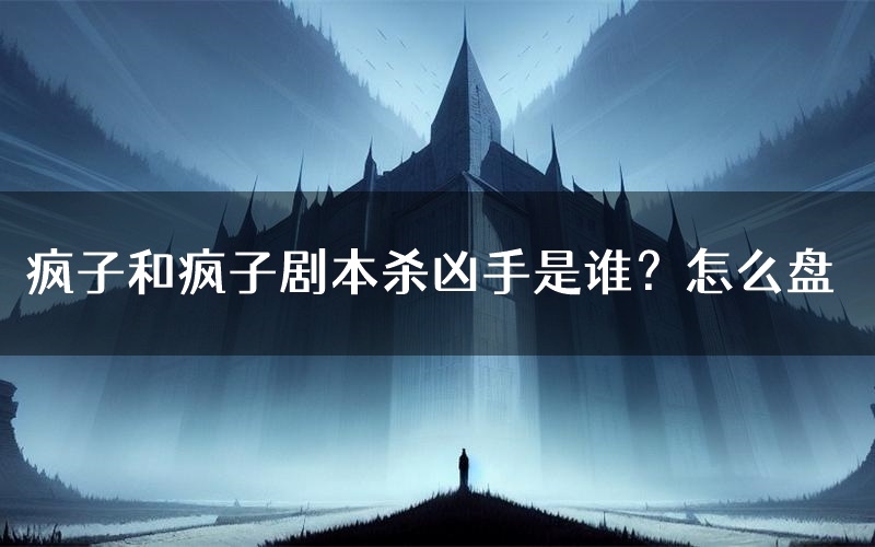 疯子和疯子剧本杀凶手是谁？怎么盘