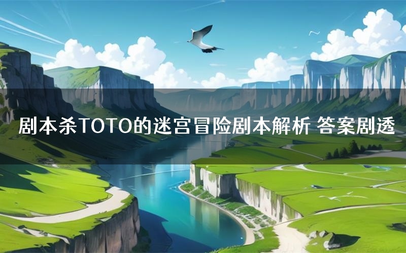 剧本杀TOTO的迷宫冒险剧本解析 答案剧透